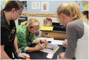 Top notch school laboratory design From Carroll Seating Company